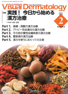 実践!今日から始まる漢方治療(Visual Dermatology) 2024年2月号No.23 No.2